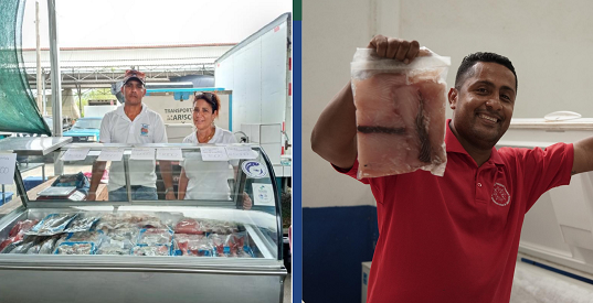 3-Apoyo para ingreso a Ferias del Agricultor